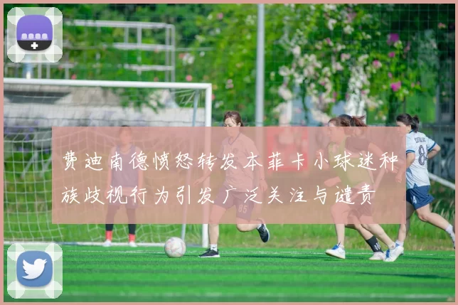 费迪南德愤怒转发本菲卡小球迷种族歧视行为引发广泛关注与谴责